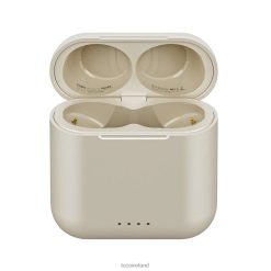 T6S Charging Case TOZO Champagne 006P2189 Accessory