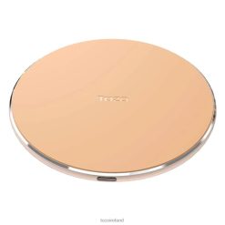 W1 TOZO Champagne 006P2109 Accessory